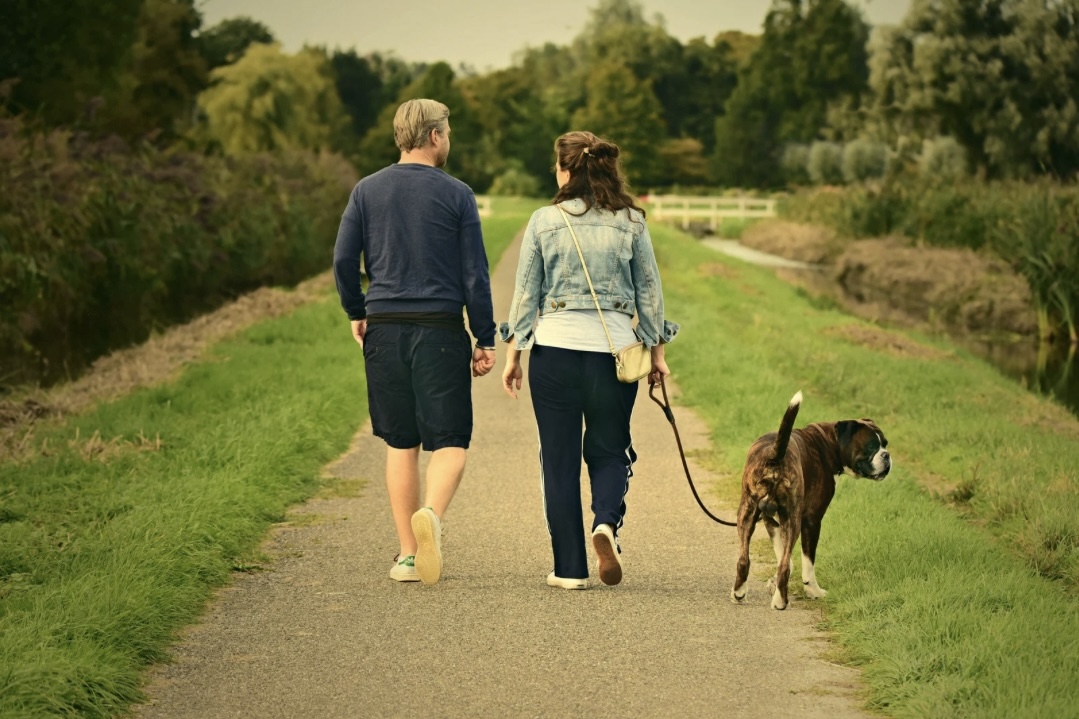 Ehepaar mit Hund beim Spazieren zur Verbesserung der Herzgesundheit